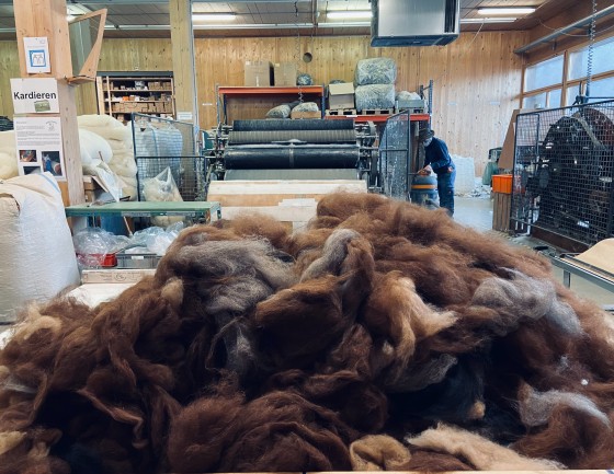 Alpaca Wool